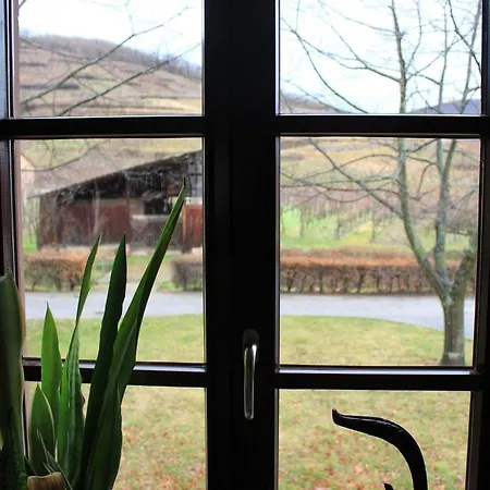 1calm, Spacious, Comfortable, At The Foot Of The Vosges And Vineyard, South, Free Wifi Appartement