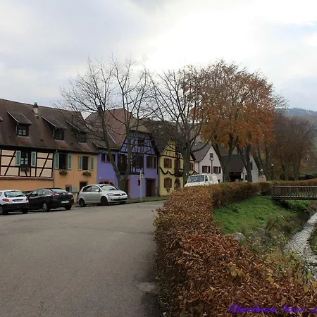 1calm, Spacious, Comfortable, At The Foot Of The Vosges And Vineyard, South, Free Wifi Ammerschwihr