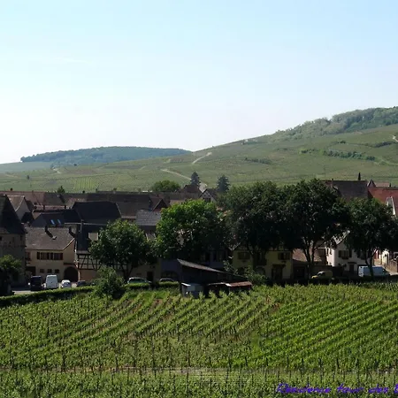 1calm, Spacious, Comfortable, At The Foot Of The Vosges And Vineyard, South, Free Wifi Appartement *