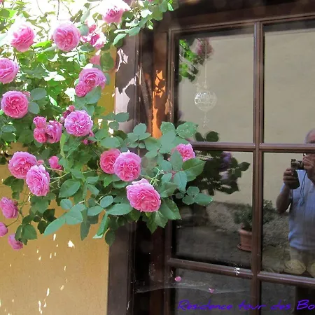 1calm, Spacious, Comfortable, At The Foot Of The Vosges And Vineyard, South, Free Wifi Ammerschwihr