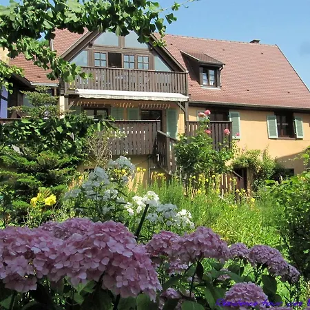 Appartement 1calm, Spacious, Comfortable, At The Foot Of The Vosges And Vineyard, South, Free Wifi *